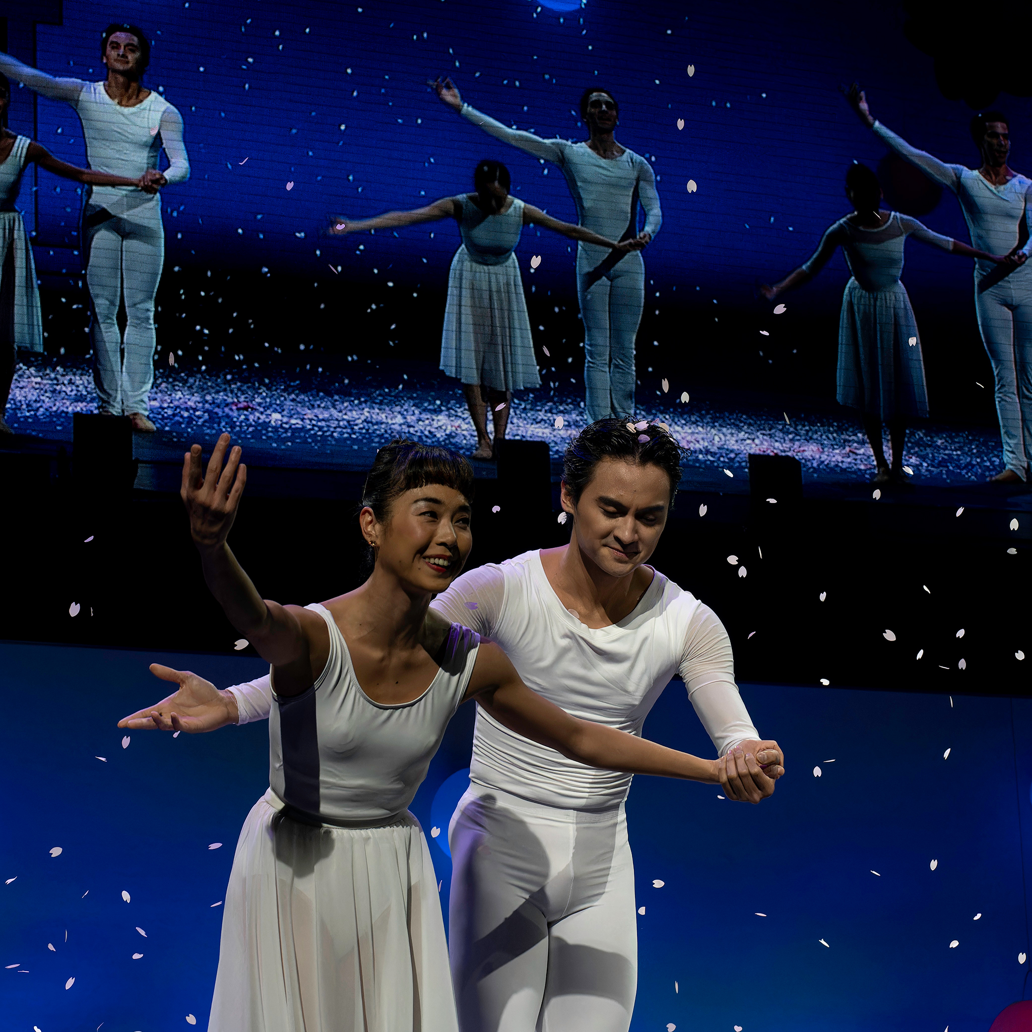 The Washington Ballet
